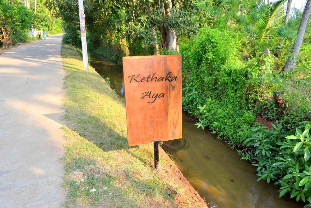 Kethaka Aga Hotel Tissamaharama Kültér fotó